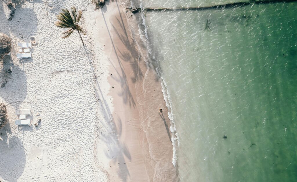 pexels-photo-18197917-18197917 Drone shot capturing a serene tropical beach with palm trees and clear ocean water.